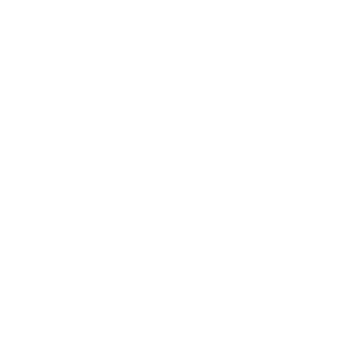SSI Company Logo