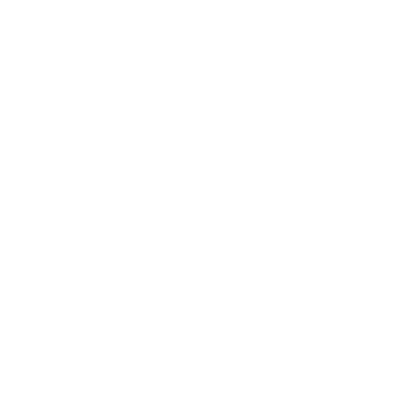 Selligent Company Logo