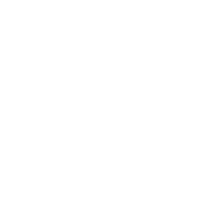 Citadel Logo